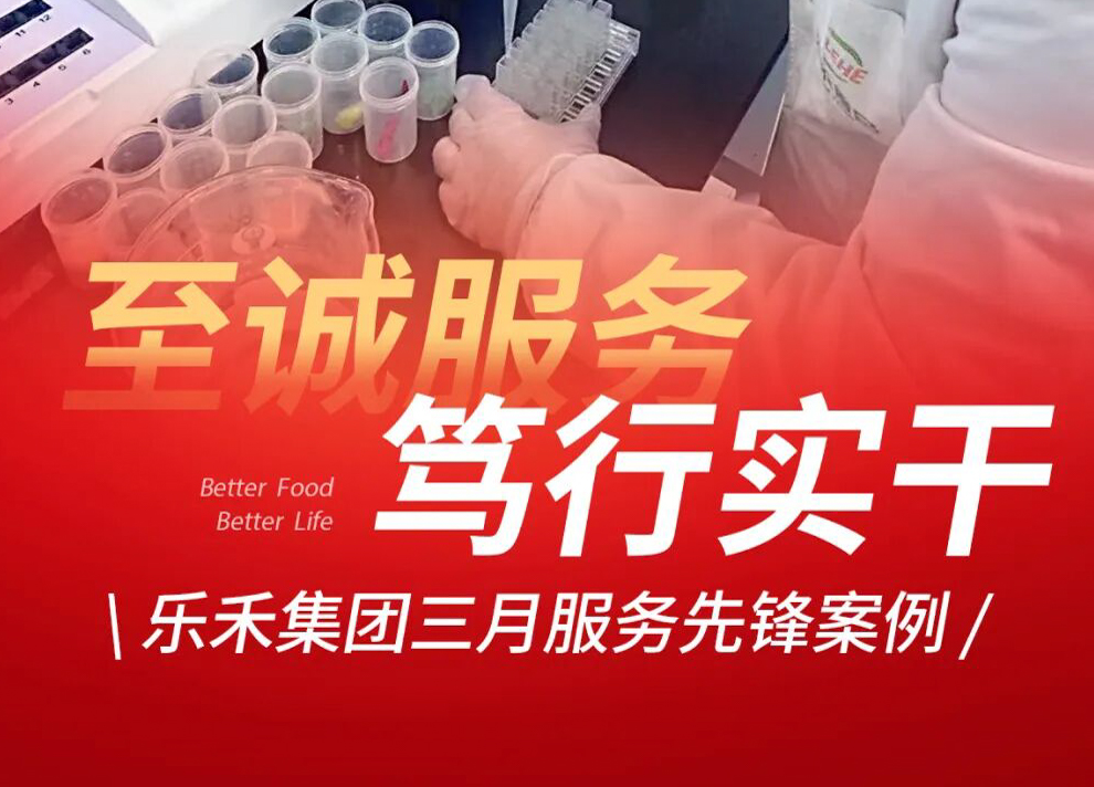 服務不止于配送！樂禾人用專業與暖心，做好每一份延伸服務